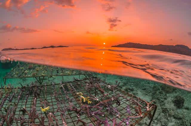 A coral reef restoration project against a red sky.
