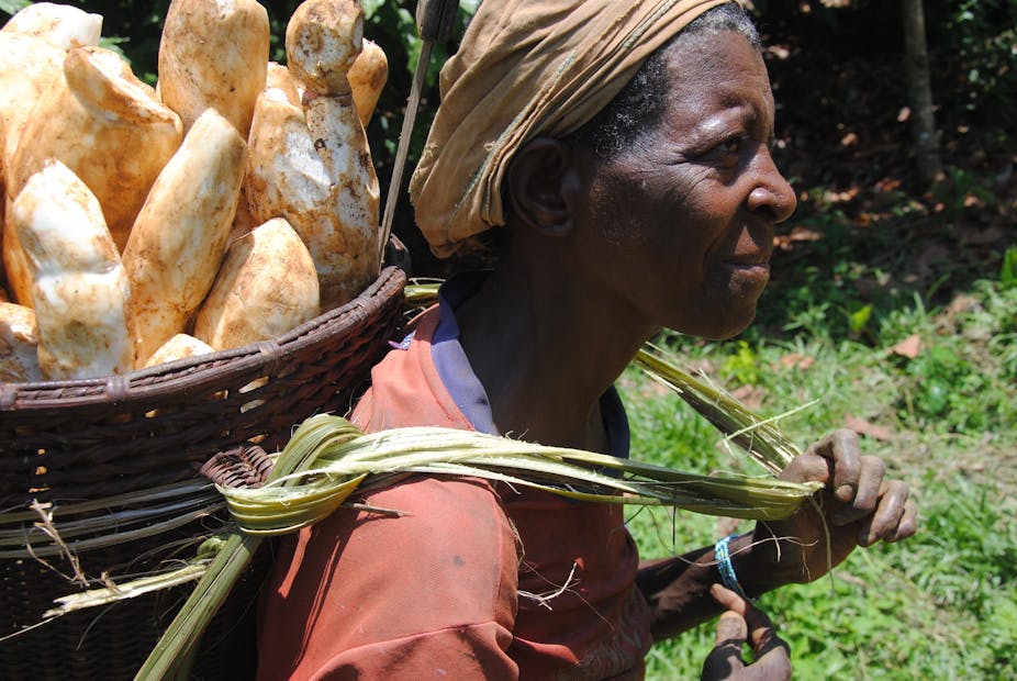 une femme baka, anciennement dit "pygmée", porte du manioc sur son dos