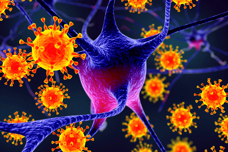 Imagens microscópicas do Virus Nipah