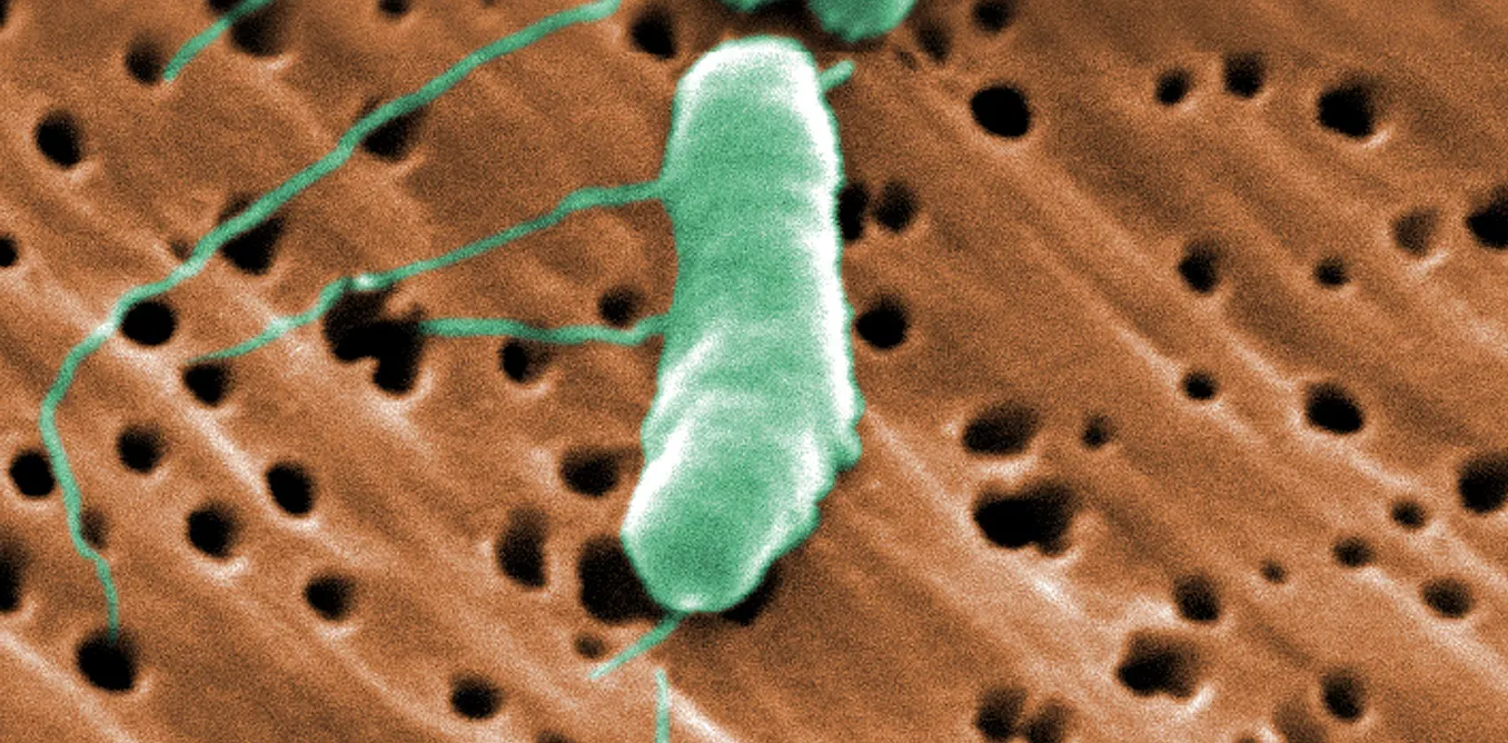 b12 injection flesh eating bacteria Man infected by flesh-eating DHEC releases statement regarding potential