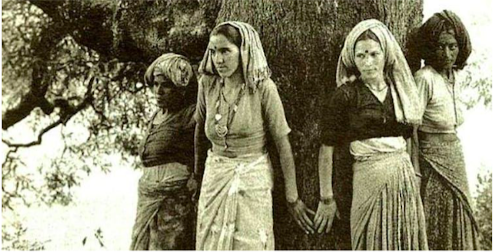Cómo el activismo ambiental de las mujeres en el Sur global puede crear un mundo mejor Cómo el activismo ambiental de las mujeres en el Sur global puede crear un mundo mejor