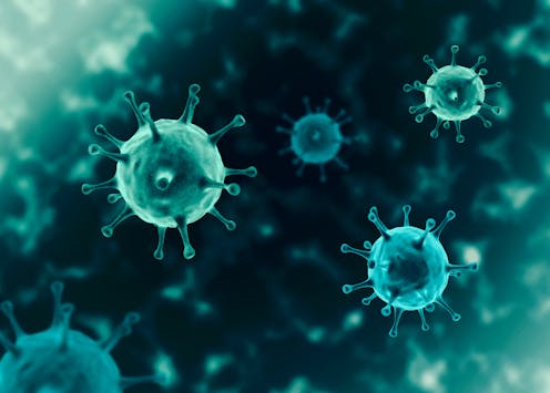We can't prepare for a future pandemic without fully looking at state governments' decisions in the last one
