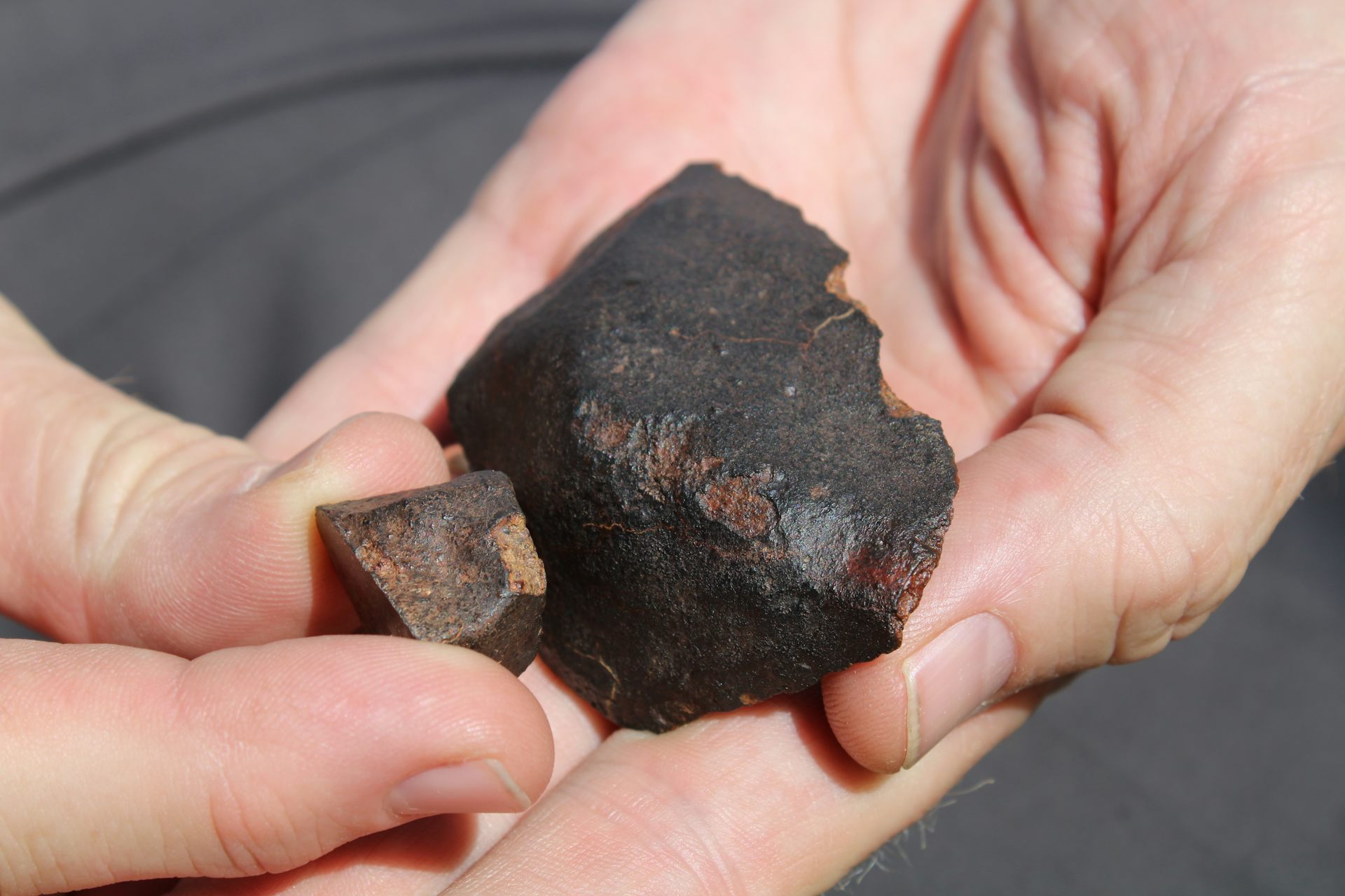 Two pieces of what look like faintly glossy rock are displayed in a person's cupped hands