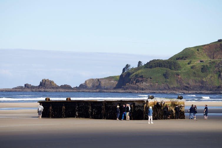 animal groups journeys A large man-made structure washed onto a sandy beach.