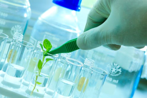 Apakah bioteknologi berdampak negatif terhadap lingkungan? 3 dari 5 ahli mengatakan tidak