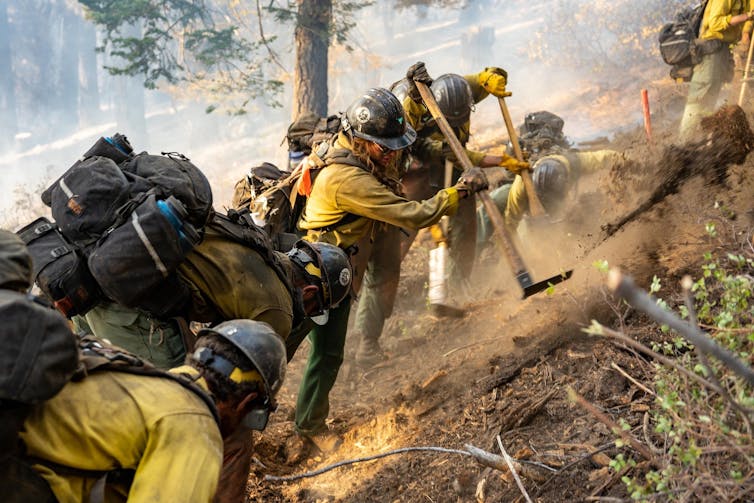 A row of firefighters in yellow long-sleeve shirts, heavy packs and helmets hacks away a fireline on a forest slope.