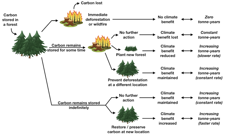 A chart illustrating various carbon storage outcomes.