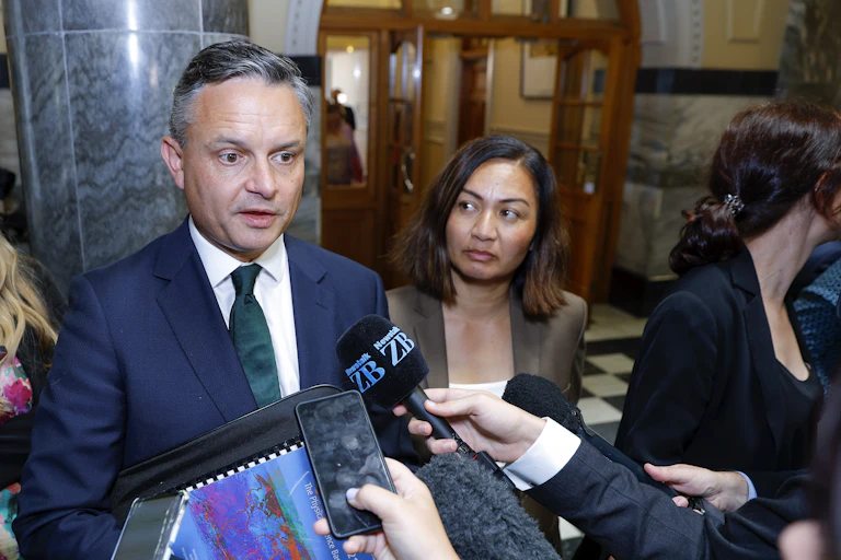 Green party co-leaders James Shaw and Marama Davidson at a media conference.