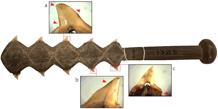 A wooden weapon with a rounded handle and jagged tooth attachments at the other end