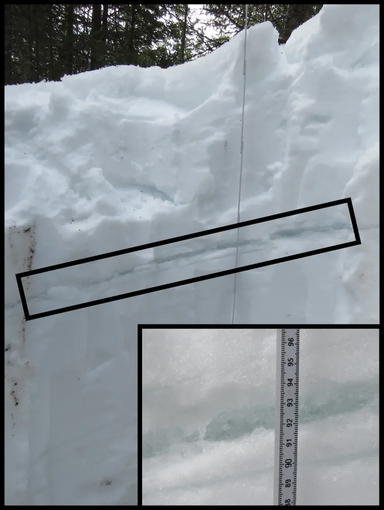 Understanding the dynamics of snow cover in forests can help us predict ...