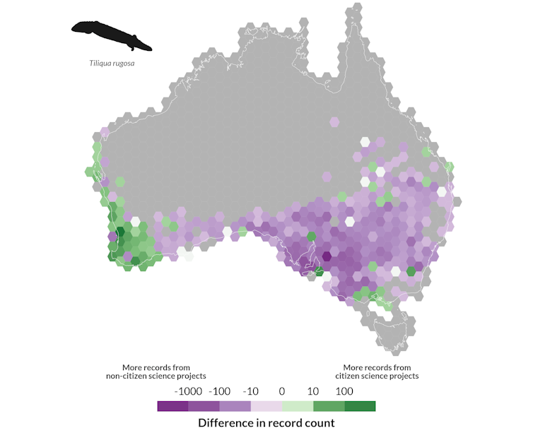 figure showing shingleback lizard locations from citizen science
