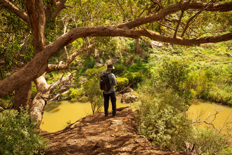 citizen scientist looking at river