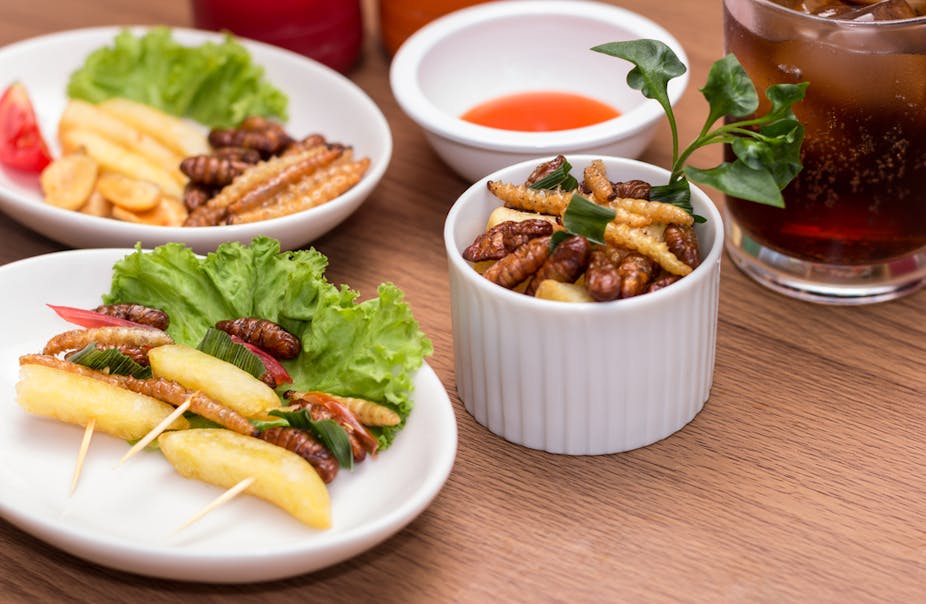 Des frites, des légumes et des insectes dans une assiette