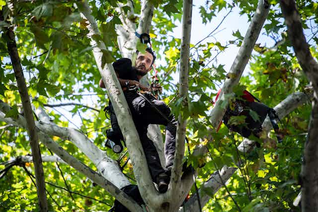 Le militant climatique Thomas Brail perché dans un arbre, avec un équipement d'escalade.