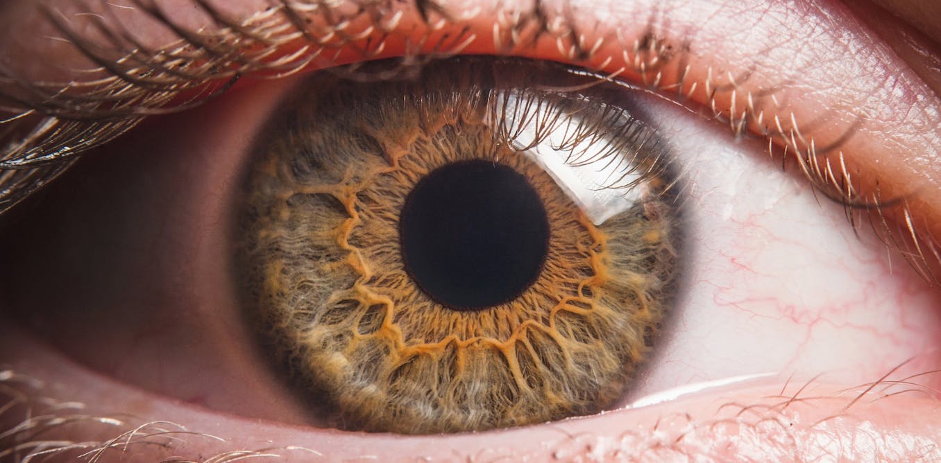 No one knows how consciousness works, but top researchers are fighting over which theories really count as science No one knows how consciousness works, but top researchers are fighting over which theories really count as science