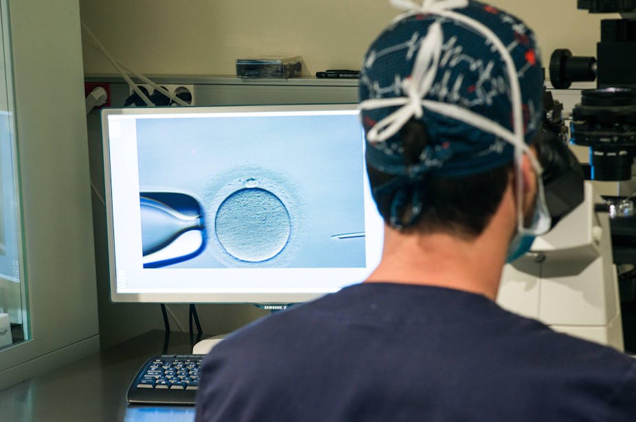 An embryologist looks at a computer screen with an egg being fertilised.