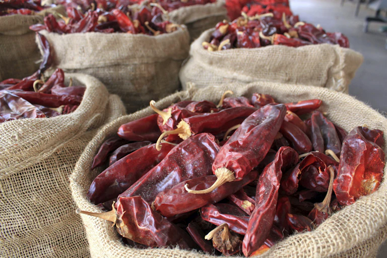 Burlap sacks of peppers with piles of red chili peppers.