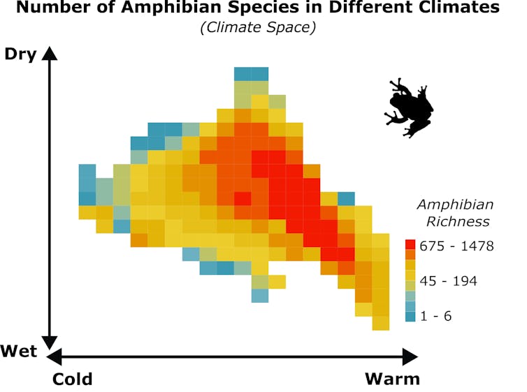a heat map of amphibian richness along a horizontal axis from cold to warm and a vertical axis from wet to dry