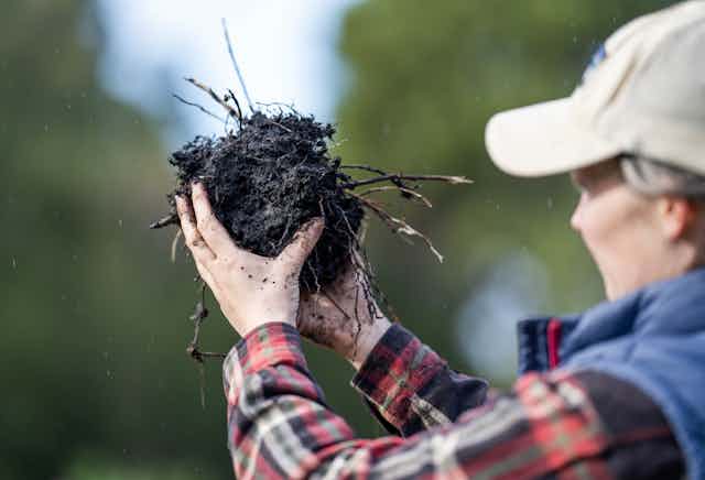 Female farmer hold soil in hands monitoring soil health on a farm