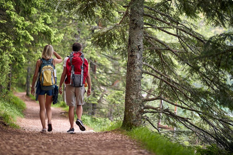 A man and a woman hike in a forest while wearing rucksacks.