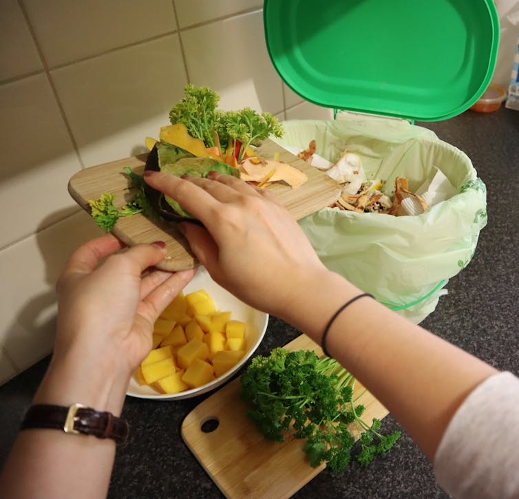 Closeup photo of a person scraping food scraps into a benchtop kitchen caddy with a compostable liner, for recycling in the food organics collection system