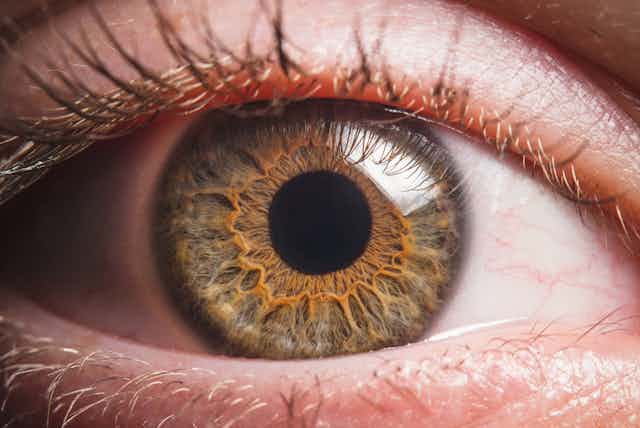Uma foto em close-up de um olho humano