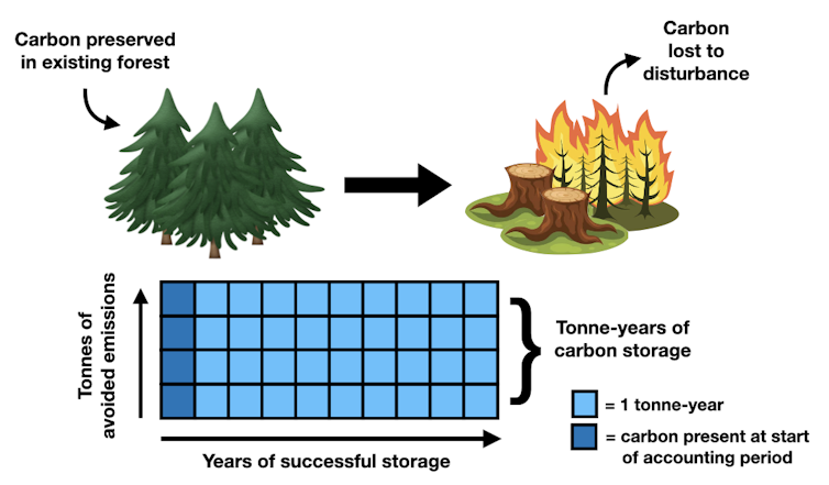 A chart illustrating the fundamentals of tonne-years for carbon storage.