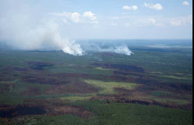 Wildfires seen burning in in Quebec with brown burned patches throughout the forest.