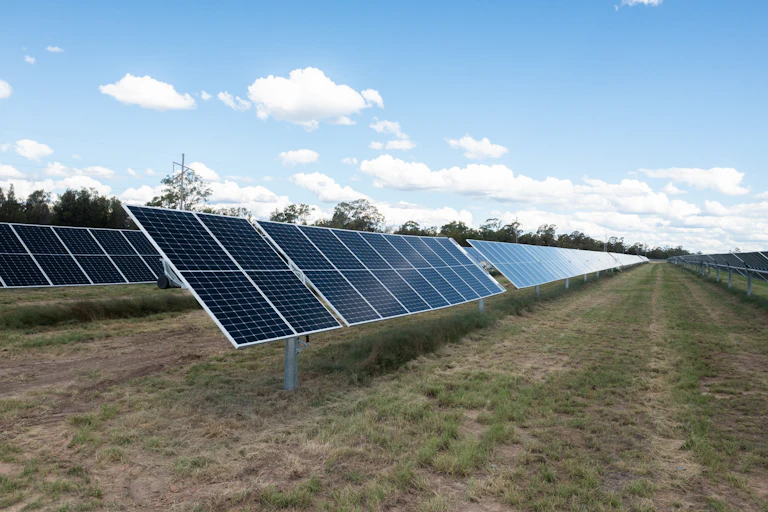 Rows of solar panels