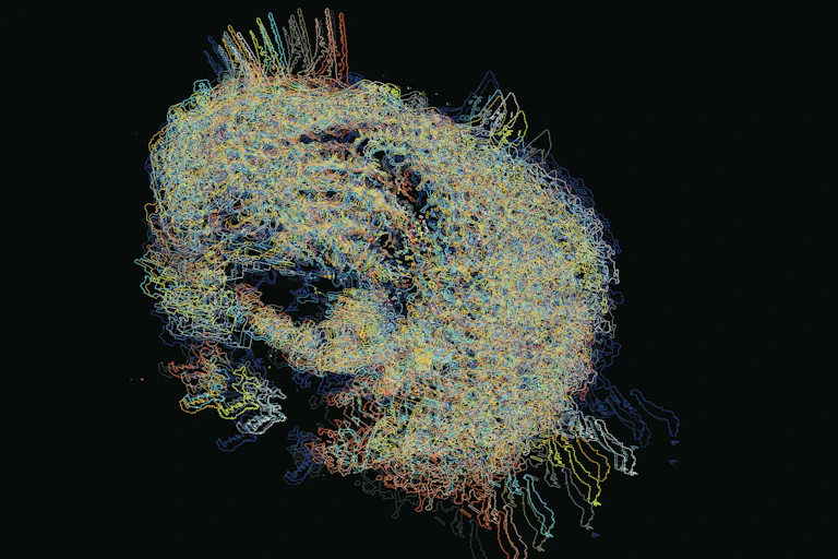 A pale-green coloured, slightly out of focus image of a structure that makes up zooplankton.