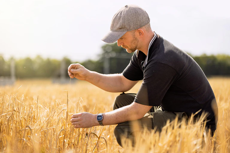 Man crouches in field, looking at the crop