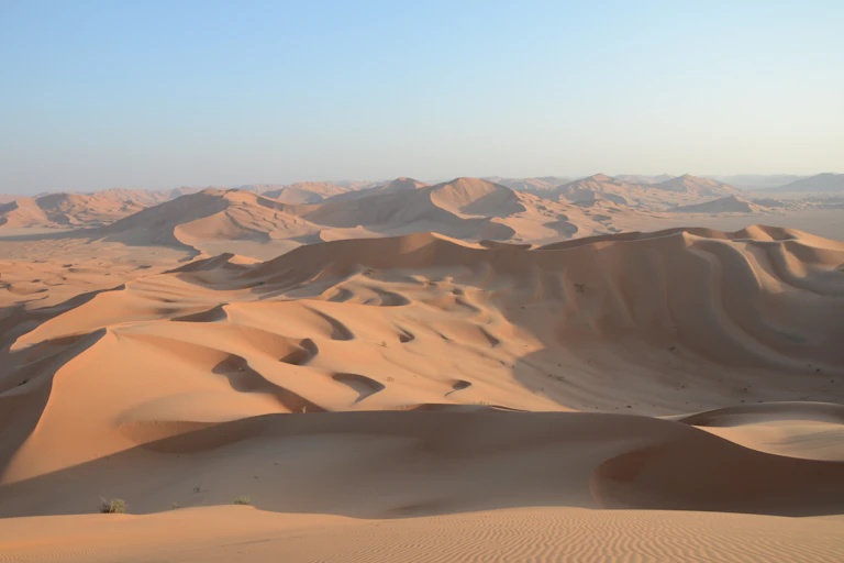 Sand dunes in the Sahara Desert.