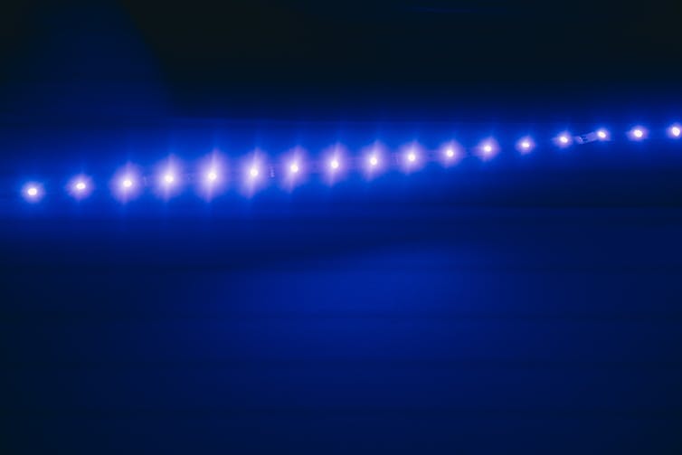 A photo of a strip of blue LED lights against a dark background.
