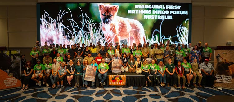 Communties working together for dingo protection and sustainable land management and livestock grazing.