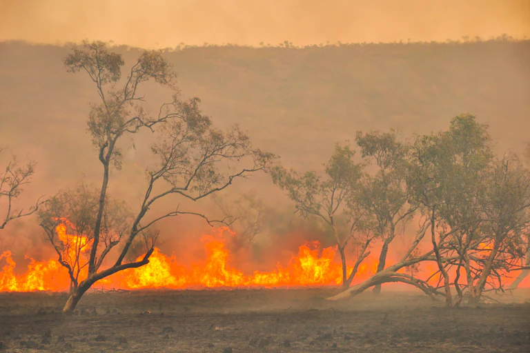 grass fire