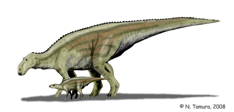 An illustration showing a mother Maiasaura with one of her young.