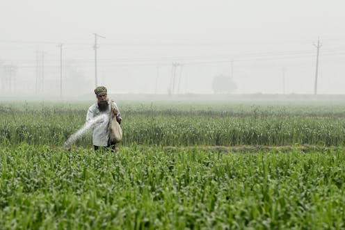The Green Revolution is a warning, not a blueprint for feeding a hungry planet