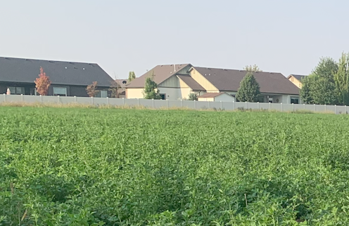 Glyphosate, the active ingredient in the weedkiller Roundup, is showing up in pregnant women living near farm fields – that raises health concerns