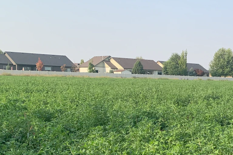 A street with dozens of residential houses backs up to a farm field with only a fence between them.