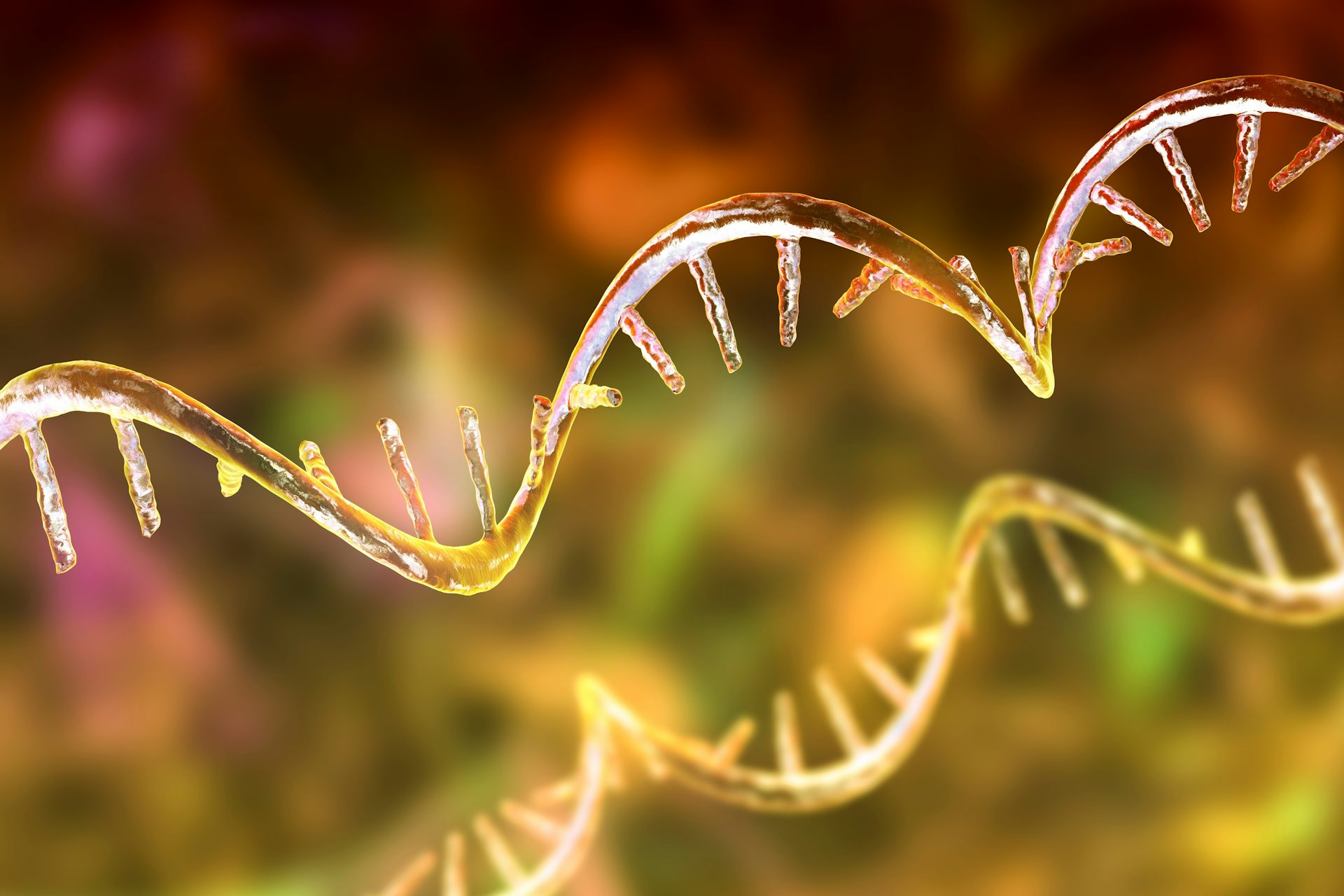 A digital illustration of a strand of mRNA.