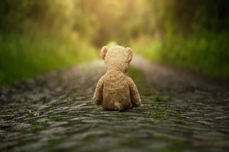Teddy bear sits alone on cobblestone path