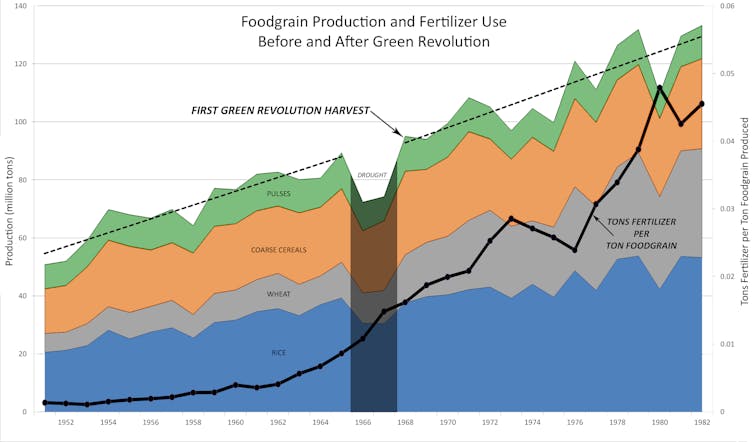 Gráfico mostrando a produção de grãos na Índia de 1952 a 1982 e a intensificação do uso de fertilizantes.