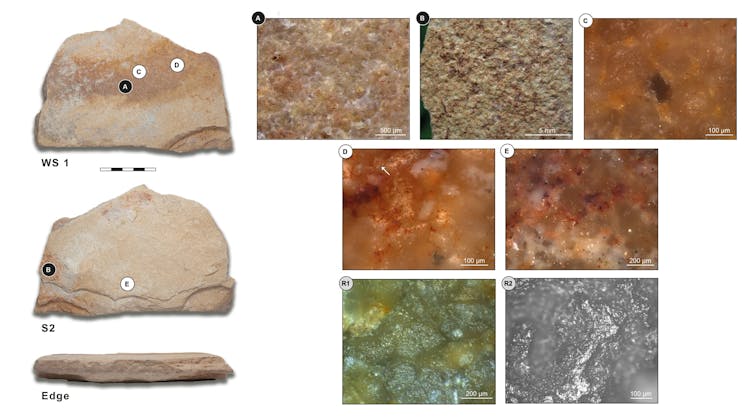 Photos of a stone grinding tool and high-magnification pictures of marks on its surface.