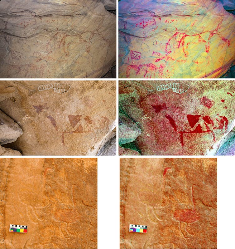 Photos showing rock art drawings of different animals, with different pigments highlighted.