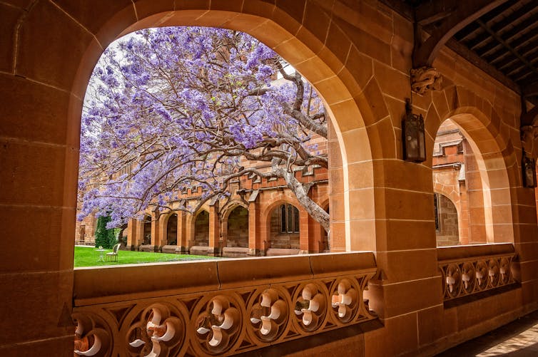 Blooming tree and sandstone buildings.