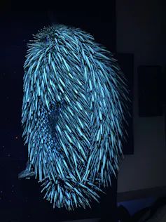A dark photo with an echidna showing clear green-white glow on its spikes