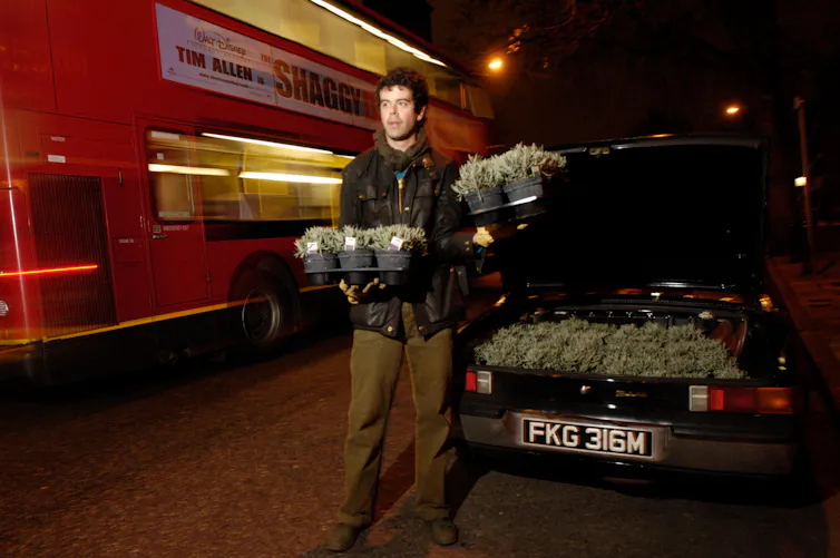 A man holding potted plants at night time on a busy street.