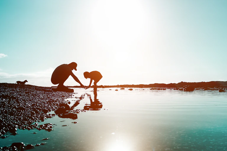 Parent and child silhouetted looking in shallow water