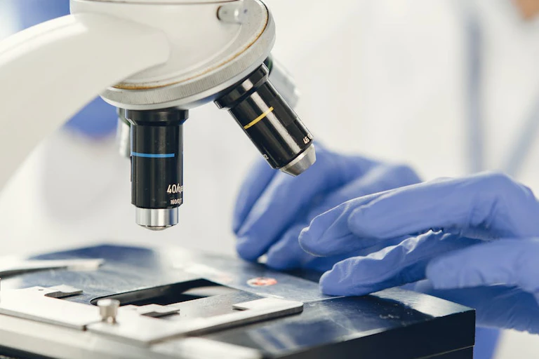 Chercheur observant un échantillon au microscope