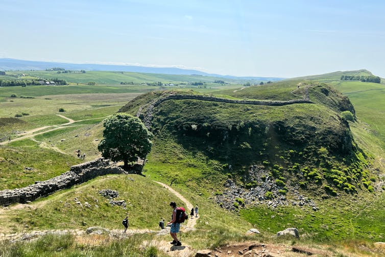 Rolling hills, Hadrian's Wall, and the Sycamore Gap
